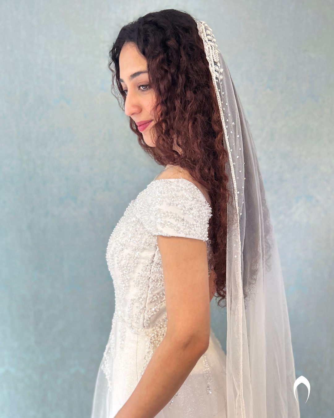 Signature christian Aline gown in net with glitz and embellished with sugar beads