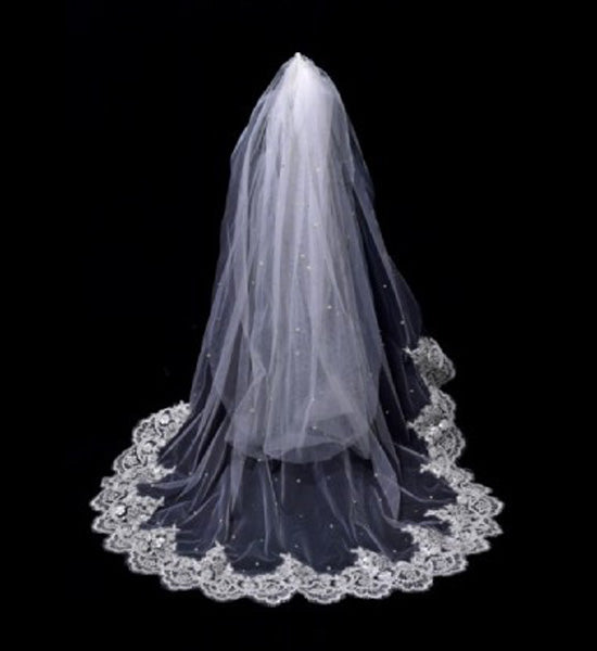 VEIL TYPE 4