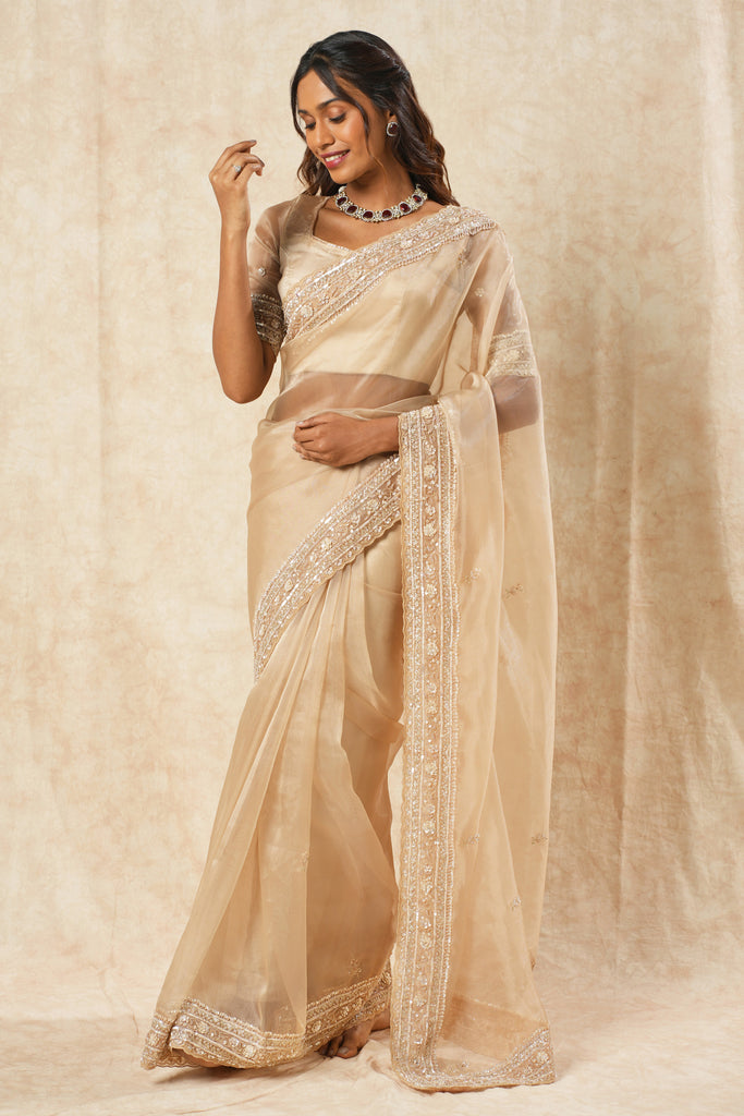 Tissue Organza Saree with Handcrafted Beads & Sequin Work