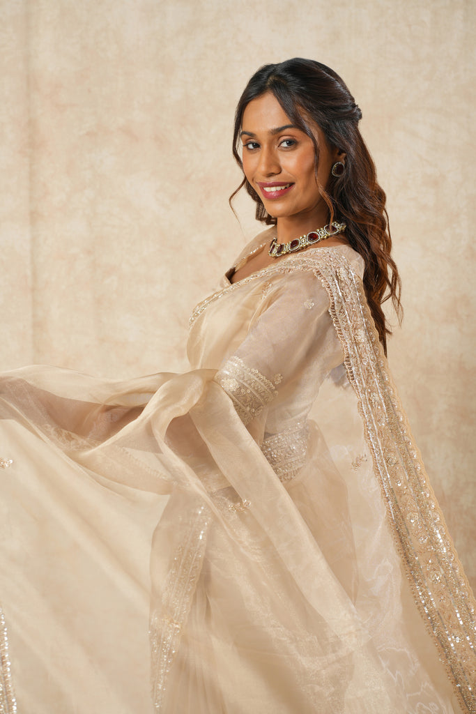 Tissue Organza Saree with Handcrafted Beads & Sequin Work
