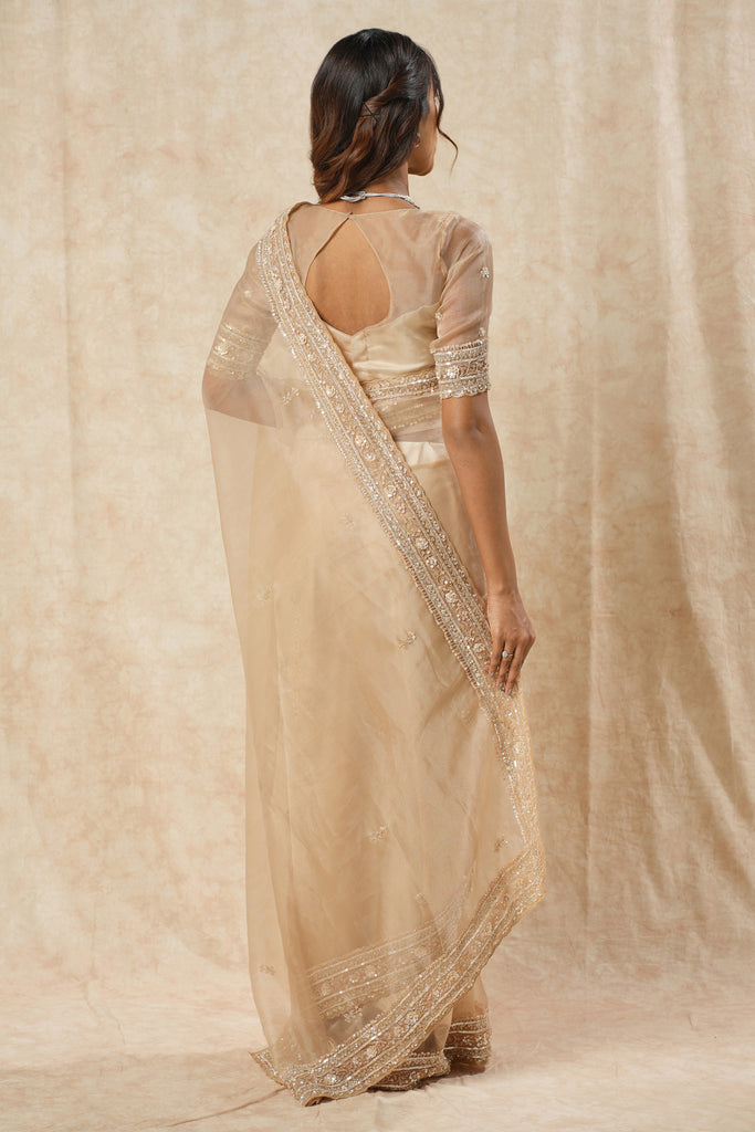Tissue Organza Saree with Handcrafted Beads & Sequin Work