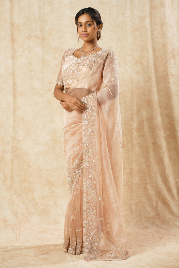 Tissue Organza Saree with Bold Border & Zigzag Sequin Embellishments